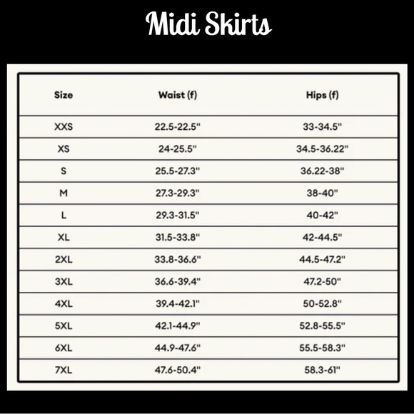 NWT Save the Parade 1969 “Sable Starr” Silk A-Line Midi Skirt ✨ - Picture 4 of 4